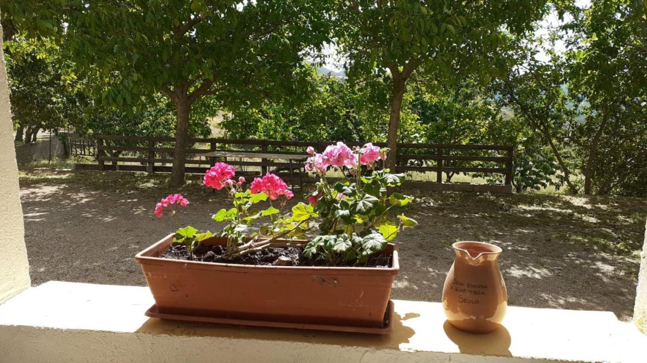 Agriturismo S'Armidda Seùlo Екстериор снимка