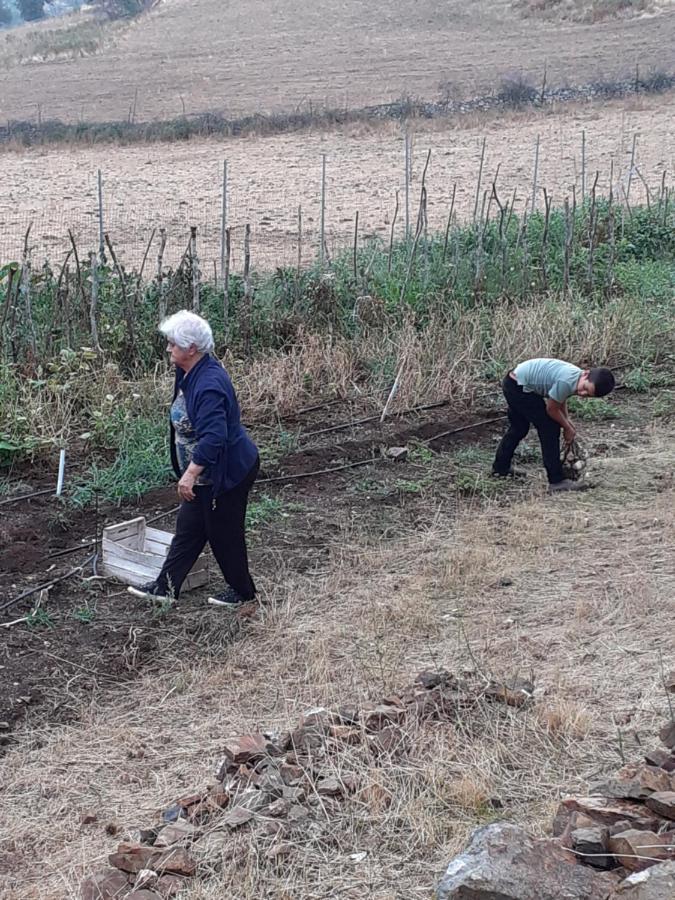 Agriturismo S'Armidda Seùlo Екстериор снимка