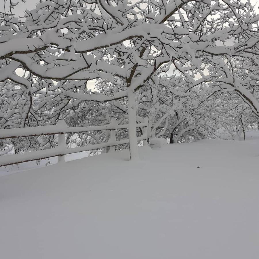 Agriturismo S'Armidda Seùlo Екстериор снимка