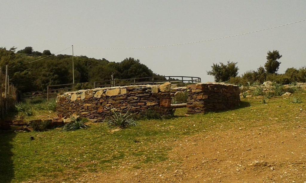 Agriturismo S'Armidda Seùlo Екстериор снимка