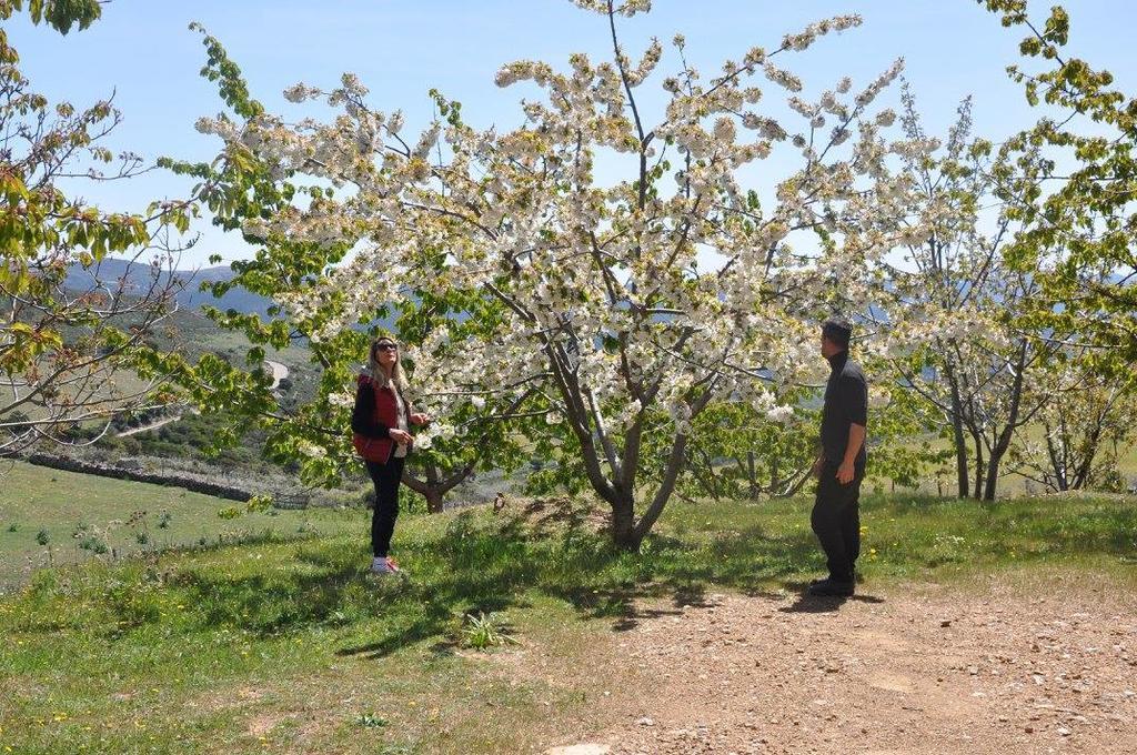 Agriturismo S'Armidda Seùlo Екстериор снимка